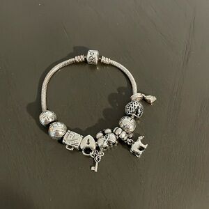 Pandora charm bracelet